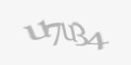 Защитный код